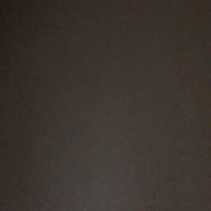 Meet your Posher, Shon